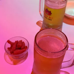 오사카고양이 사진