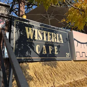 위스테리아 사진 1