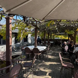 위스테리아 리뷰 사진