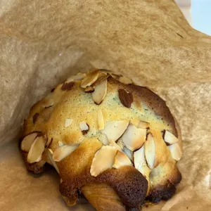 트위그 페스츄리 사진 1