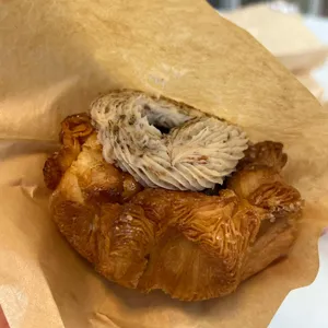 트위그 페스츄리 사진