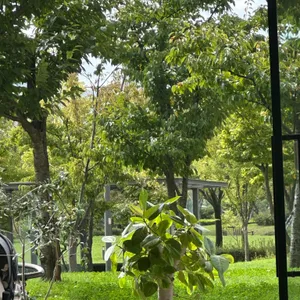 파크사이드 리뷰 사진