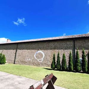 이끼숲소길 리뷰 사진