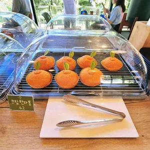 이끼숲소길 사진