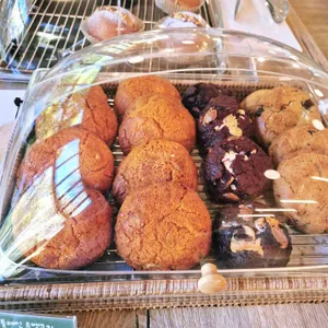 이끼숲소길 사진