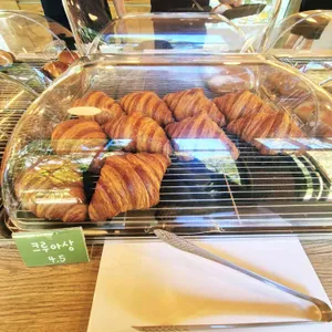 이끼숲소길 사진