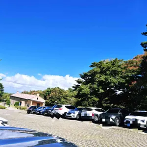 이끼숲소길 리뷰 사진