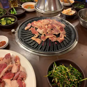 낙동생오리 사진