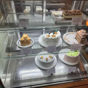 코이크 리뷰 사진