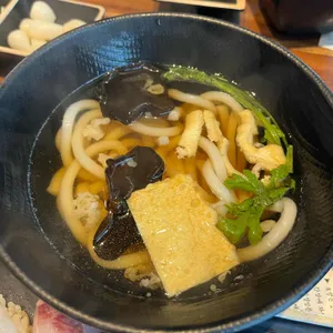 올타미스터스시 대표 사진