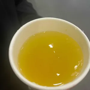 엔젤리너스 사진