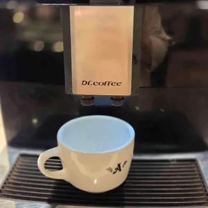 애슐리퀸즈 사진