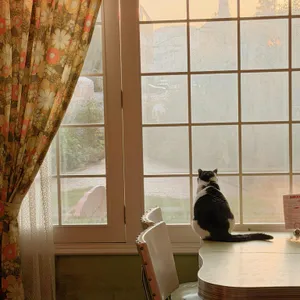 머메이드레시피 리뷰 사진