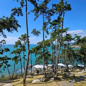 세븐아일랜드 리뷰 사진