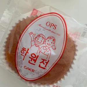 옵스 대표 사진