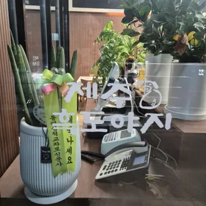 제주흑도야지 리뷰 사진