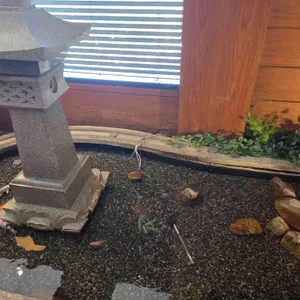 취홍 리뷰 사진