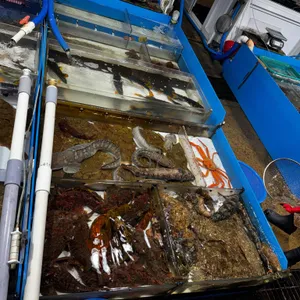 대광수산 리뷰 사진