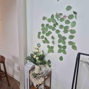 레스베러 리뷰 사진