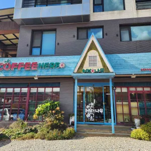 허브나무 대표 사진