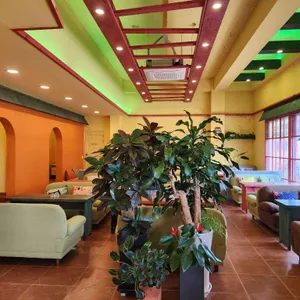 허브나무 리뷰 사진