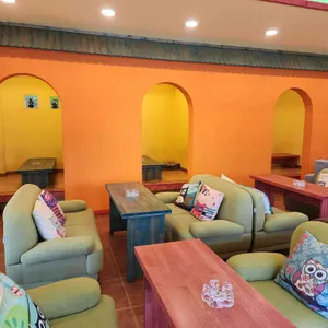 허브나무 리뷰 사진