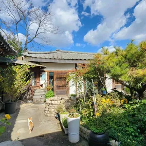 이당 비스트로 리뷰 사진