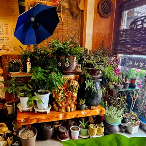 차밥나무 리뷰 사진