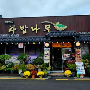 차밥나무 리뷰 사진