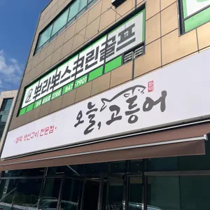 오늘, 고등어 사진