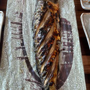 오늘, 고등어 대표 사진