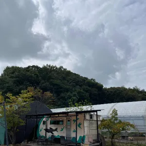 카페애플트리 리뷰 사진