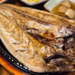 미스터코다리 사진