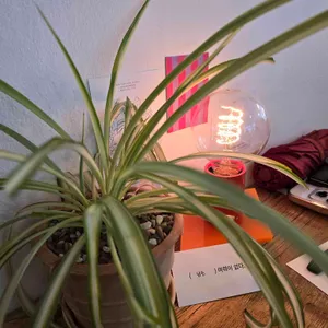 여력 리뷰 사진