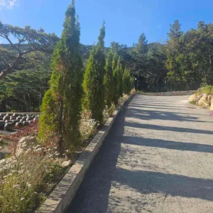 파인 포레스트 리뷰 사진