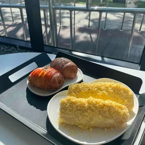 파인 포레스트 사진