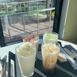 파인 포레스트 사진