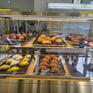 파인 포레스트 사진