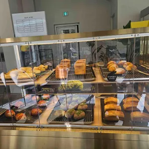 파인 포레스트 사진