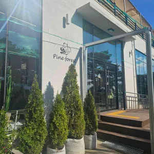 파인 포레스트 리뷰 사진