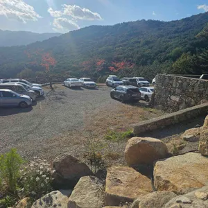 파인 포레스트 리뷰 사진