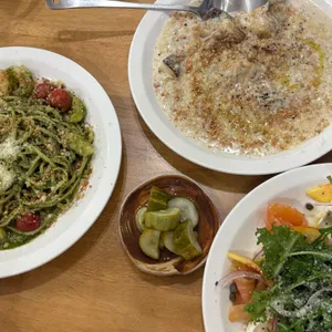 트와 대표 사진