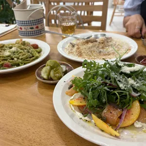 트와 리뷰 사진