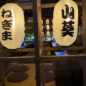 풍바오 대표 사진