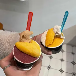 젤라또먼트 대표 사진