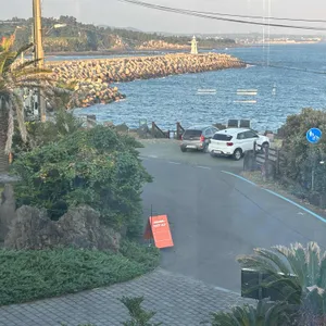 게우지코지 카페 리뷰 사진