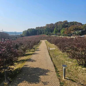 더반 올가닉 리뷰 사진