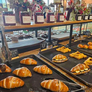 더반 올가닉 사진