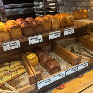 스탠다드브레드 사진