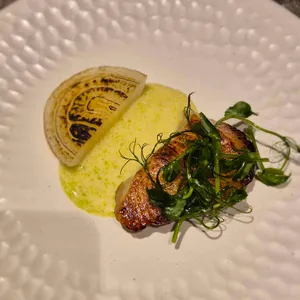 카도 대표 사진